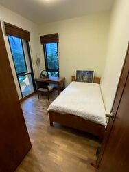 Tanglin View (D3), Condominium #485857591